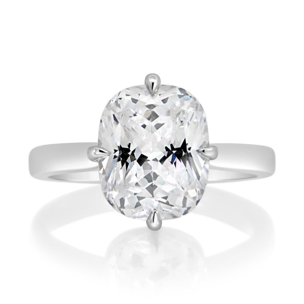 Compass Claw Surprise Diamonds Engagement Ring